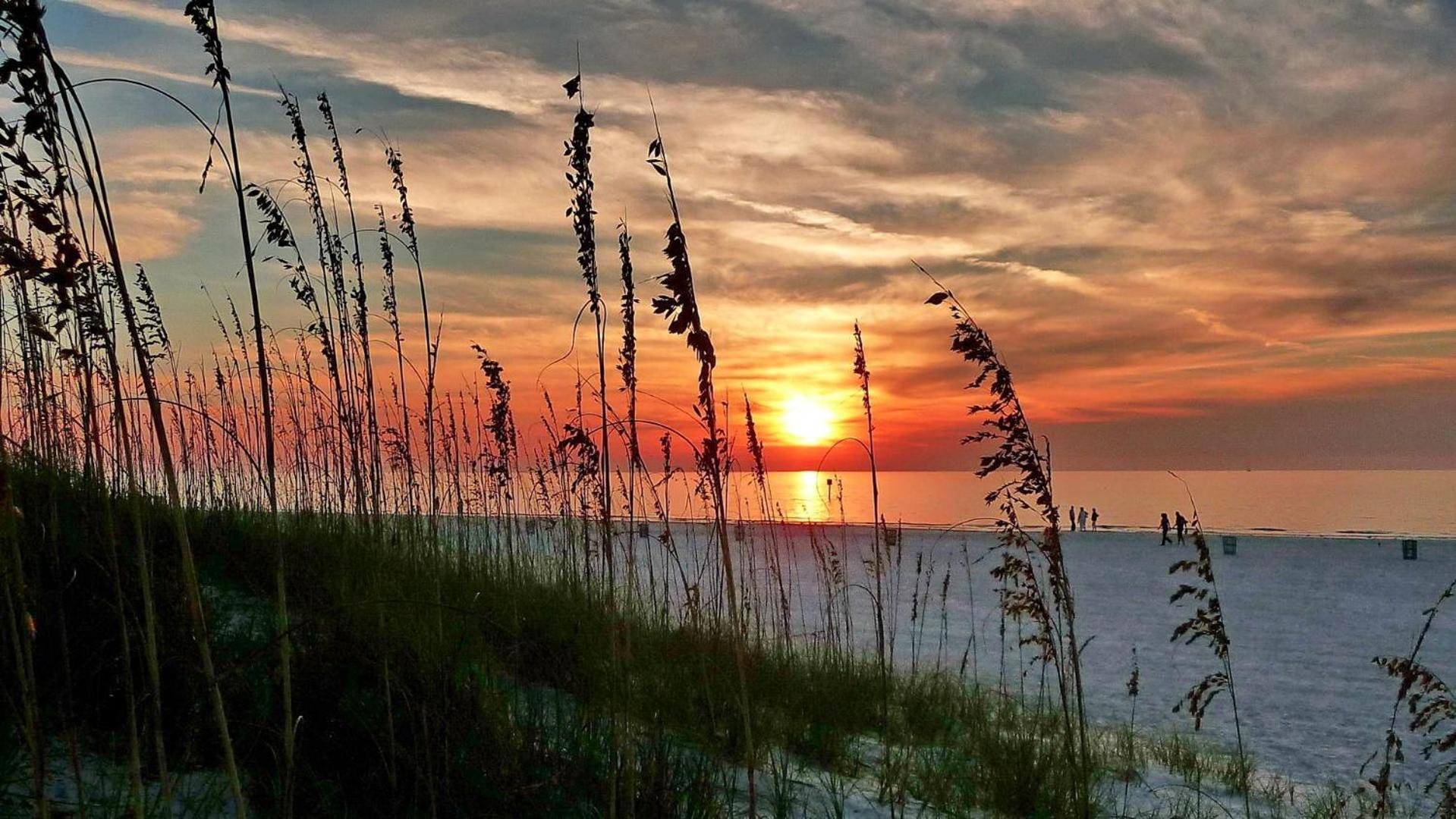 Land'S End 11-203 Beach Front - Premier St. Pete Beach Ngoại thất bức ảnh